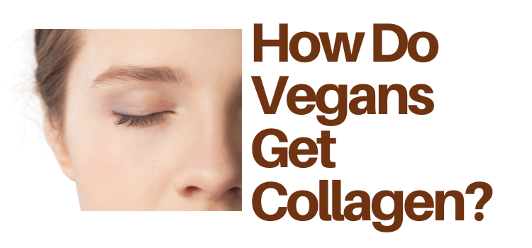 How Do Vegans Get Collagen?